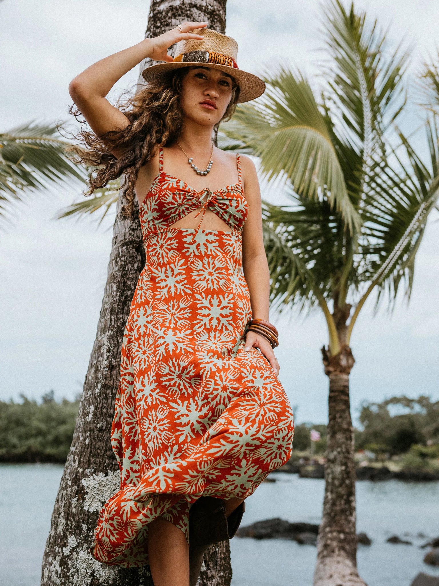 VANI DRESS
