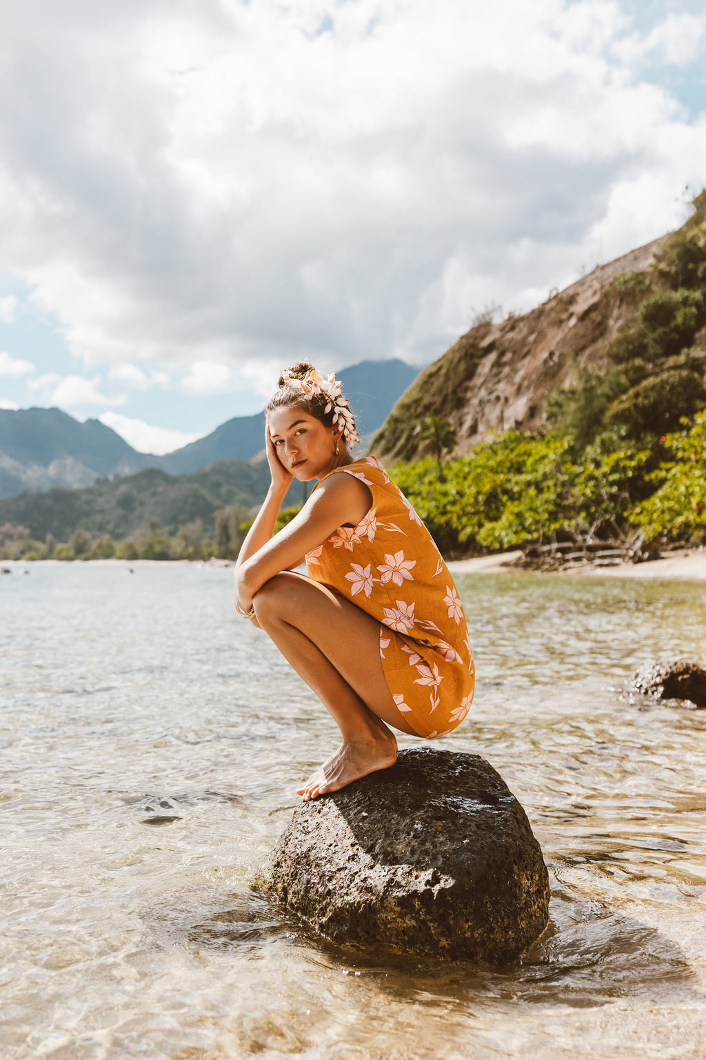 NĀNŪ — ALOHIWAI